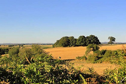 TALLUD-SAINTE-GEMME / Le Lac de Rochereau