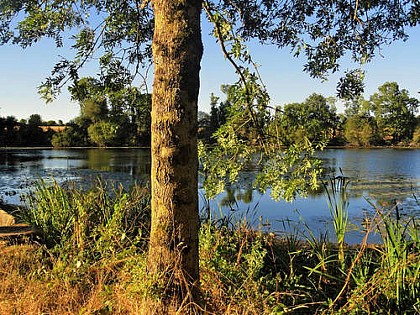 TALLUD-SAINTE-GEMME / Le Point Culminant
