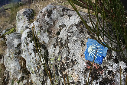 Sur le chemin de St-Jacques de Compostelle