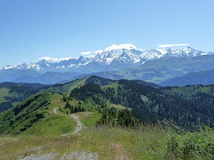 La Tête du Torraz - Panorama