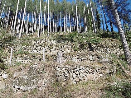 Faysses du moulinage