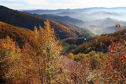 Point de vue de st Marguerite