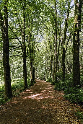 Parc des Oblats