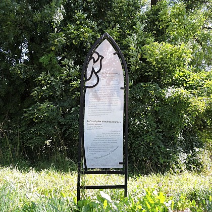 Arboretum de Pontmain