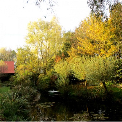 Le jardin des Têtards