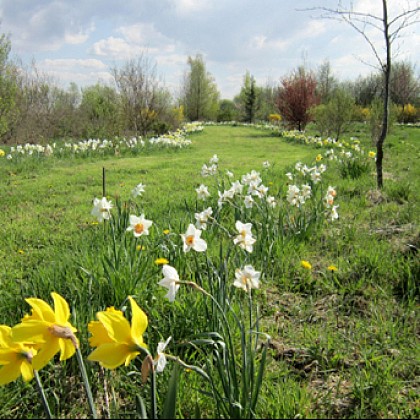 Le jardin du Val d'Yser