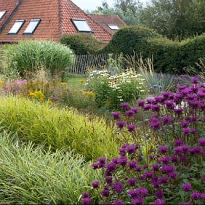 Le jardin du Lièvre