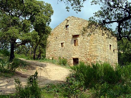 Le plat du Moulin ou Chemin de Fica
