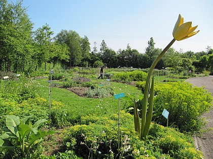 Conservatoire Botanique National de Bailleul