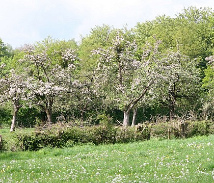 Centre de Loisirs Le Bol Vert