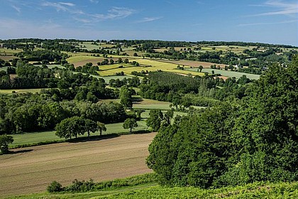 Les landes du Mené