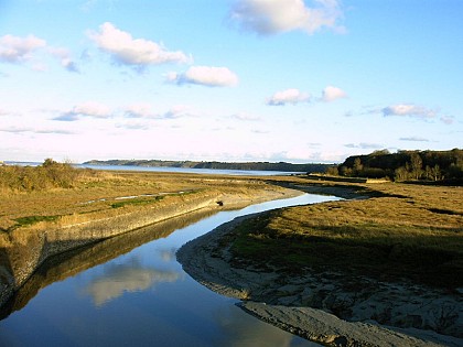 Baie de la Fresnaye depuis port à la Duc - Fréhel