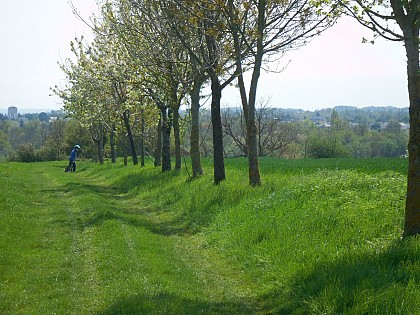 Le plateau d'Urmont