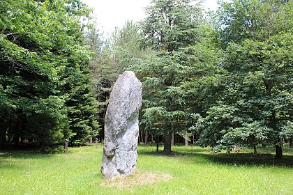 Menhir et arboretum du bois des Brosses