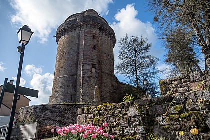 Le perroquet-papegaut de la Tour du Papegaut