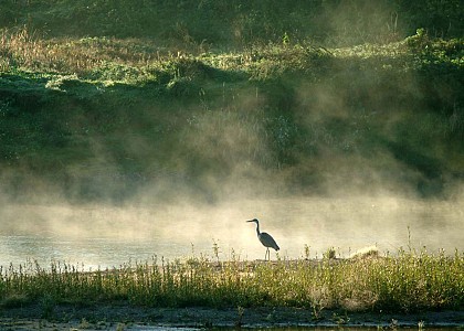 Réserve Naturelle du Val de Loire