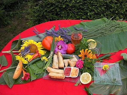 Le cocktail de Clémentine : cuisine exotique