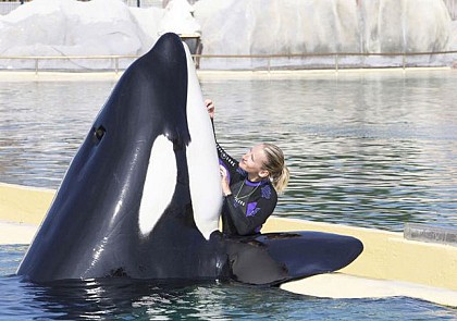 Fast-track Marineland ticket - Antibes