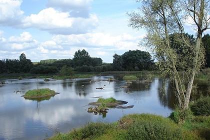 Les Marais de la Marque