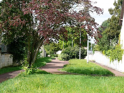 La levée de la Vielle Mer