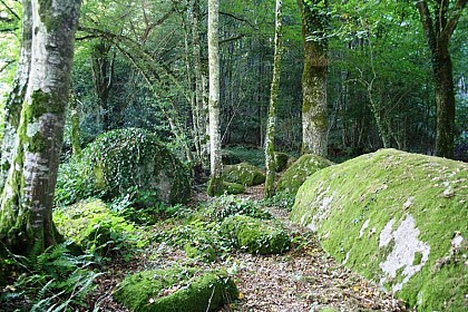 Parc des Parelles Crevant