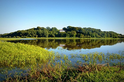 Réserve Naturelle du Marais d'Orx