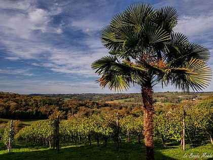 Clos Laplume