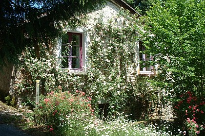 Le Vieux Moulin de la Maque - Gîte B