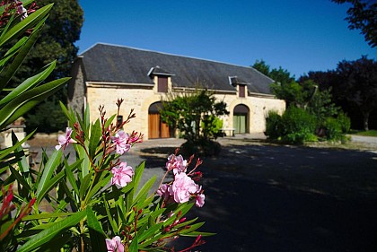 Gite Albizia