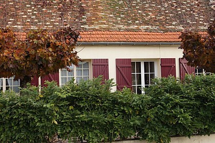 Gîte Les Glycines