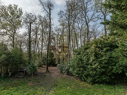 La Cabane des Chênes