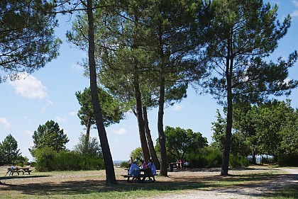 Aire de Pique-Nique de Hourtin - Ile aux Enfants