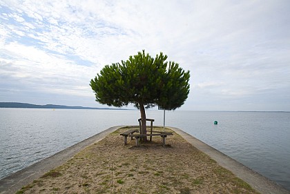 Aire de pique-nique du Montaut à Maubuisson