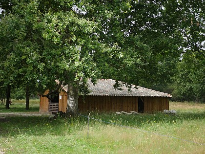 Bergerie des Matruques