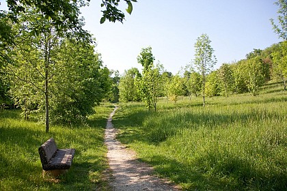 Bois de Loc Boué