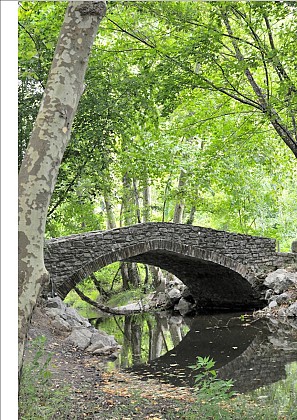 Le Pont Napoléon