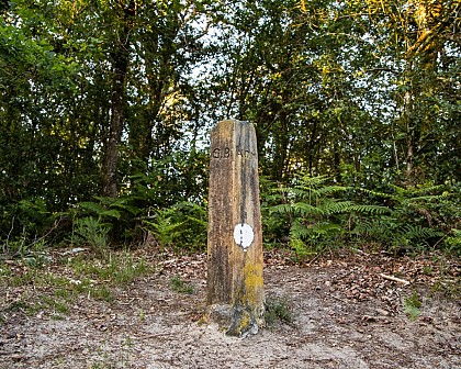 La pierre de Tinon