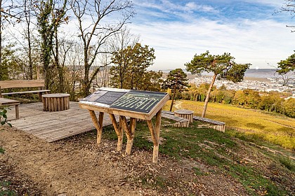 Jardin de vignes : Le Mont Bernon et le belvédère Pierre-Cheval à Epernay