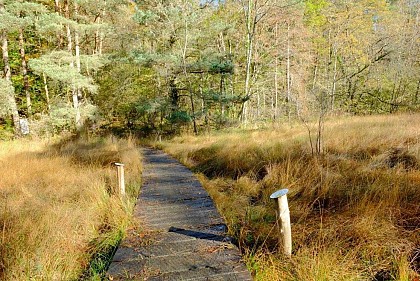 RESERVE NATURELLE NATIONALE DE CHALMESSIN