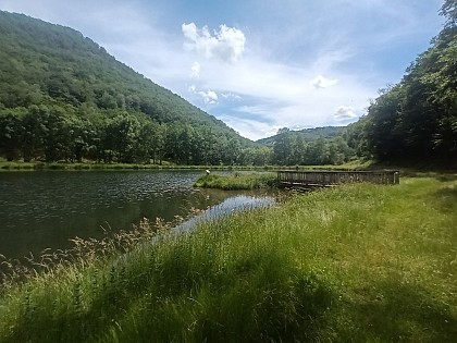 Maurs trout fishing pond