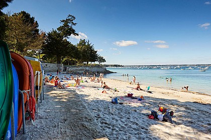 Plage des oiseaux
