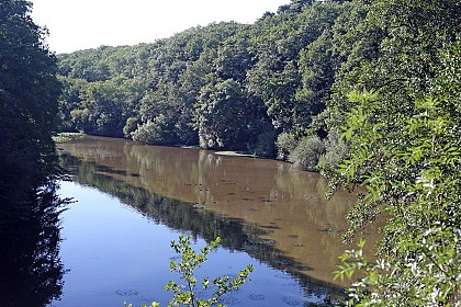 Etang Saint  Nicolas