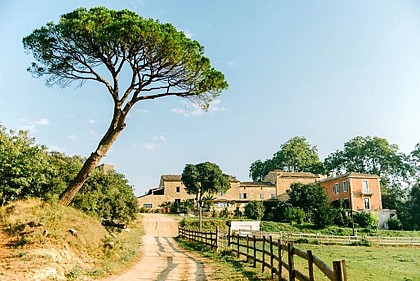 Domaine Sainte Colombe
