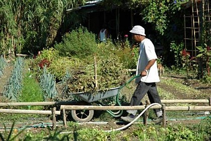 Garden Côté Jardins Solidaires