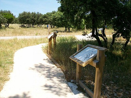 Sentier de la Yeuseraie