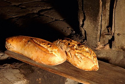 GAEC La ferme du Petit Puyaume