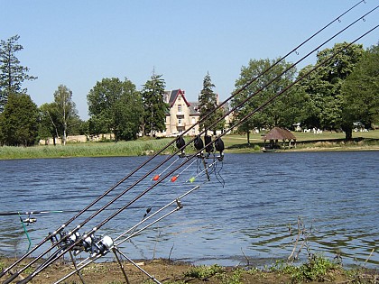 L'étang des Freaux