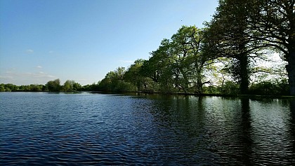 Le Domaine de La Barre - Etang de pêche