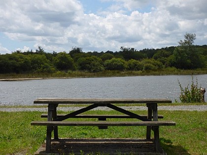 Aire de pique-nique à l'Hôpiteau (Boussais)