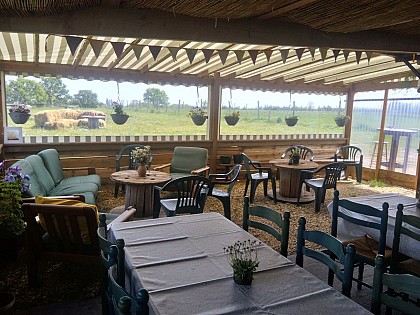 La Balade des autruches